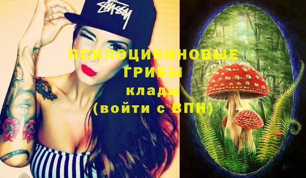 сатива Балабаново