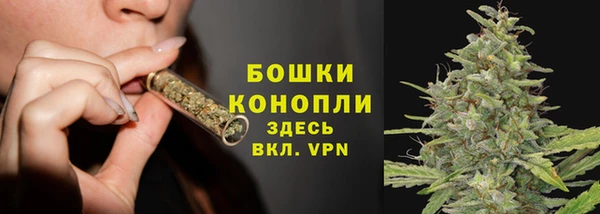 сатива Балабаново