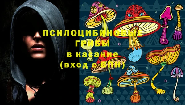 дурь Балахна
