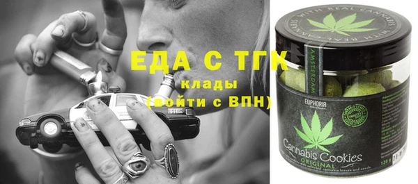 спиды Ельня