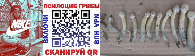 Псилоцибиновые грибы прущие грибы  Кремёнки 